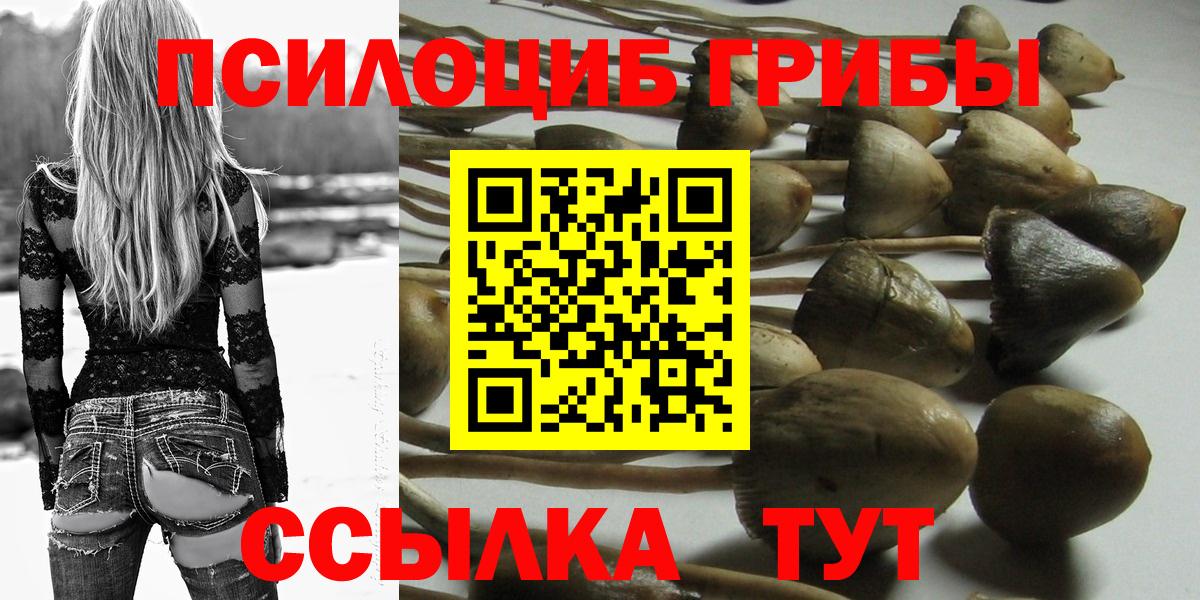 Галлюциногенные грибы мицелий Грязи